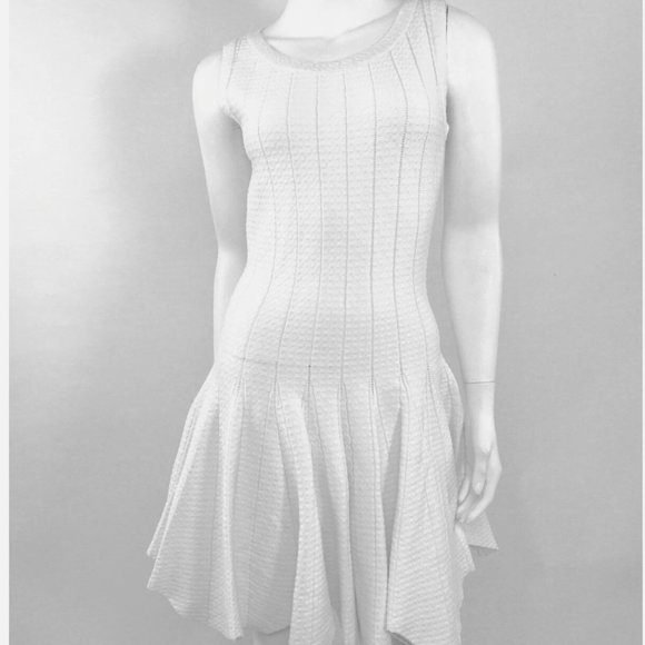 JONATHAN SIMKHAI Dresses & Skirts - NWT $595 JONATHAN SIMKHAI  WHITE POINTELLE FIT N FLARE STRETCH DRESS M